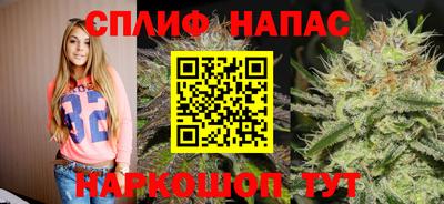 СК Беслан