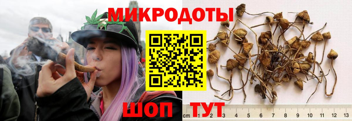 Россия  Псилоцибиновые грибы мицелий  Псилоцибиновые грибы Magic Shrooms  закладка  Вход с VPN 