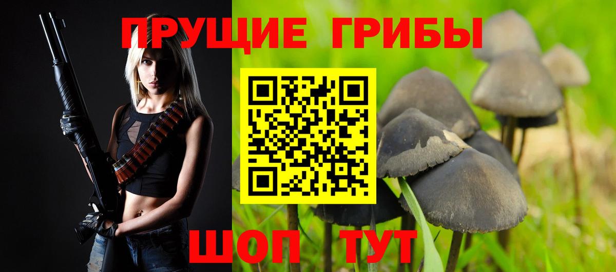 Псилоцибиновые грибы Psilocybine cubensis Россия